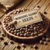 Buy Morning Glory Seeds Online